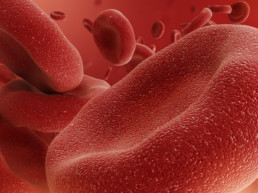 3d abstract red blood cells, erythrocytes illustration, microbio